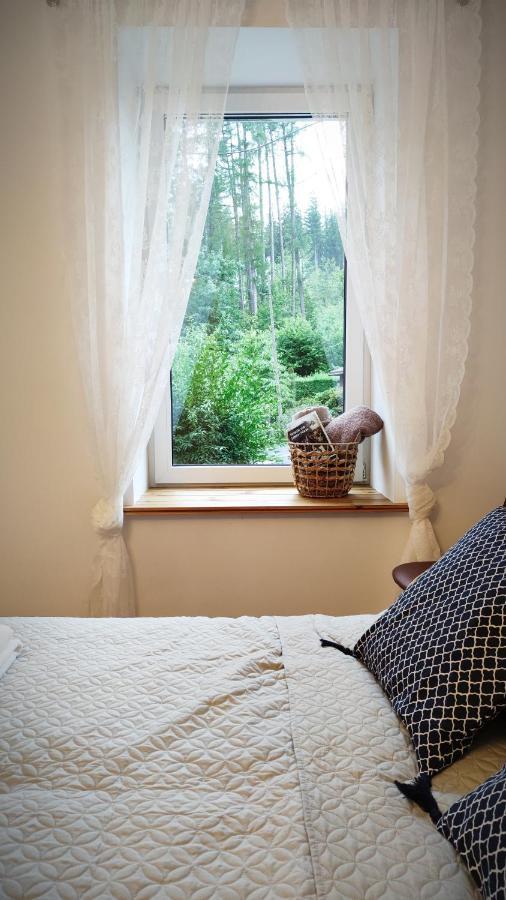 Apartament B&D Apartament Chełmiec Wałbrzych Zewnętrze zdjęcie