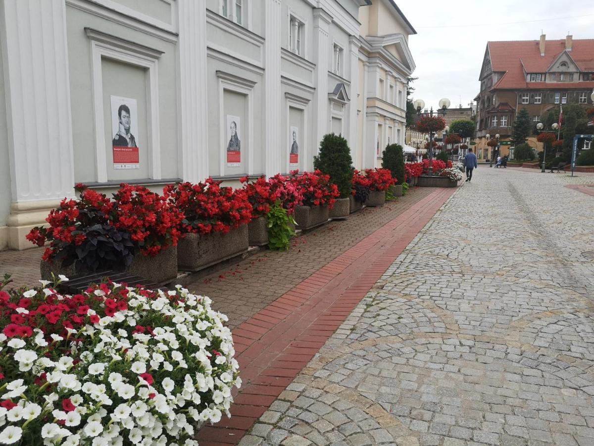 Apartament B&D Apartament Chełmiec Wałbrzych Zewnętrze zdjęcie