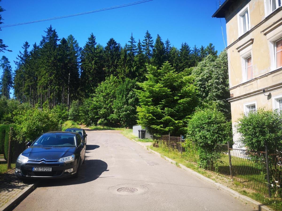 Apartament B&D Apartament Chełmiec Wałbrzych Zewnętrze zdjęcie